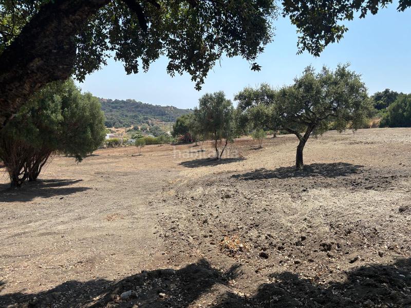 Foto e0c4590a-b879-4e5d-9de6-61d1da113ef8. Finca rústica a El Velerín Estepona