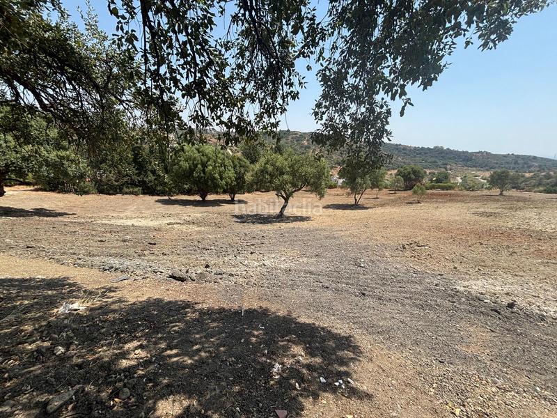 Foto f694479c-4f0b-46a5-991f-cd3632dde9ec. Finca rústica a El Velerín Estepona