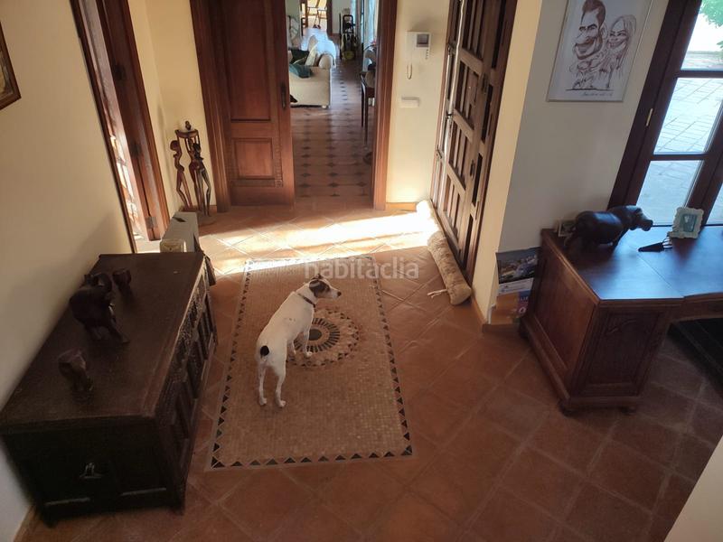 Foto bf7f7e3c-a316-4913-b982-ccc4e43101b9. Finca rústica exclusiva finca con amplia vivienda y apartamento independiente en Manilva