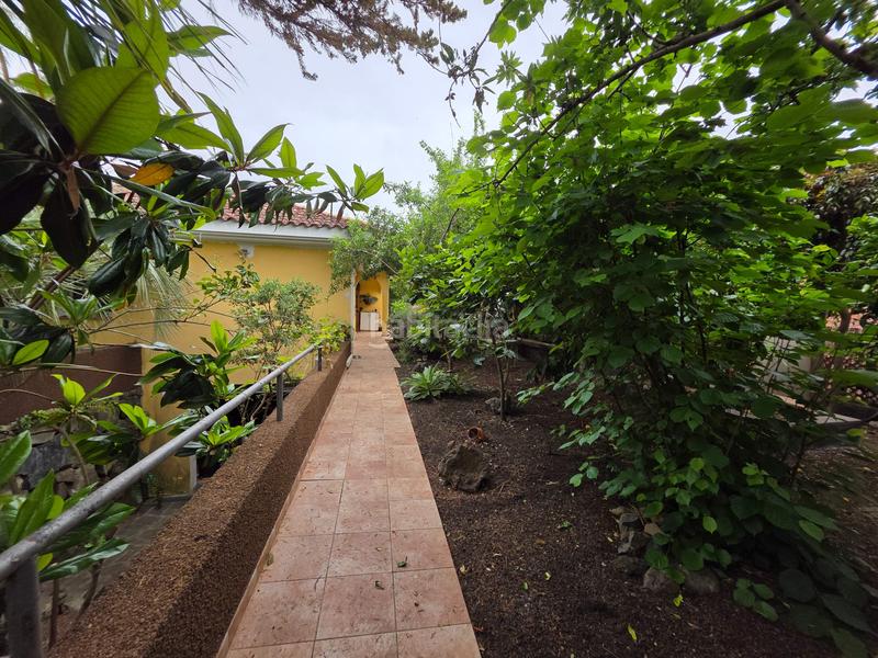 Foto e7bbefe1-0c33-469c-abfd-d21fd9f1a227. Chalet en venta precioso chalet con jardín soñado en la orotava en Orotava (La)