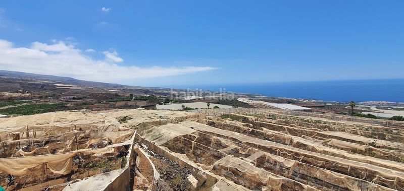 Foto 1a3809d6-c085-49ef-9b2a-740ade507024. Finca rústica a Playa de San Juan Guía de Isora