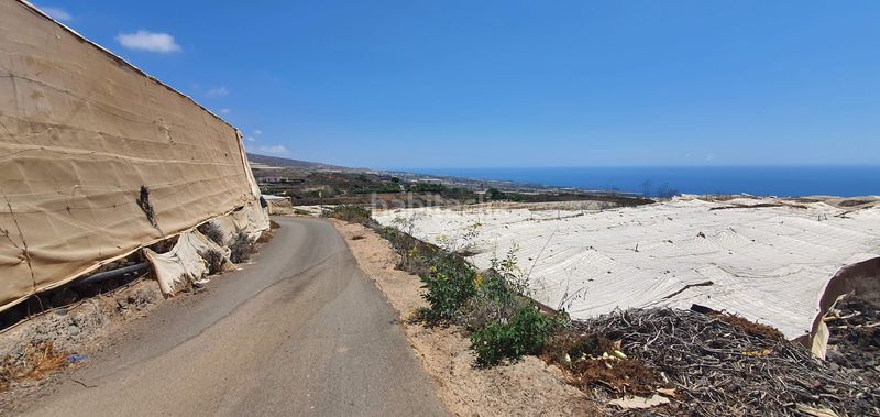 Foto af6db339-e2fc-4358-bd50-19d03c9b0183. Finca rústica a Playa de San Juan Guía de Isora