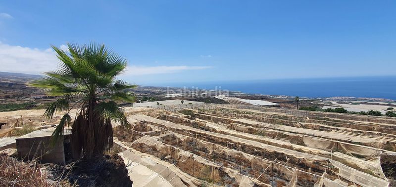 Foto b4c354d8-888f-475a-80fd-8aa2c60fb744. Finca rústica a Playa de San Juan Guía de Isora
