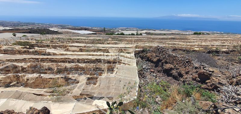 Foto d76908c8-f15f-4abe-8e09-e20b2d227f48. Finca rústica a Playa de San Juan Guía de Isora