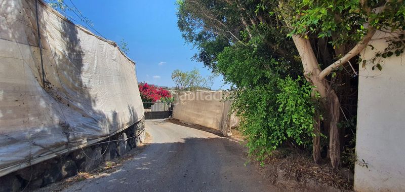 Foto da4ff1e2-3473-4422-a29c-8b85e9ed1ccf. Finca rústica a Playa de San Juan Guía de Isora