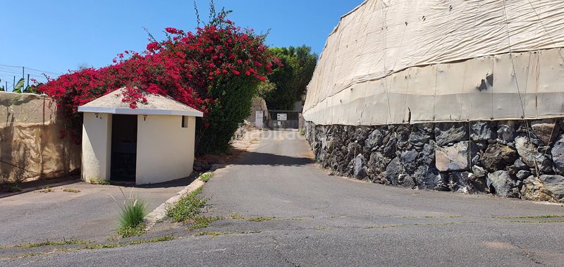 Foto edeeae14-b2d0-4782-ba37-d5299c89e5d1. Finca rústica a Playa de San Juan Guía de Isora
