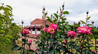 Country house  Partida grealo