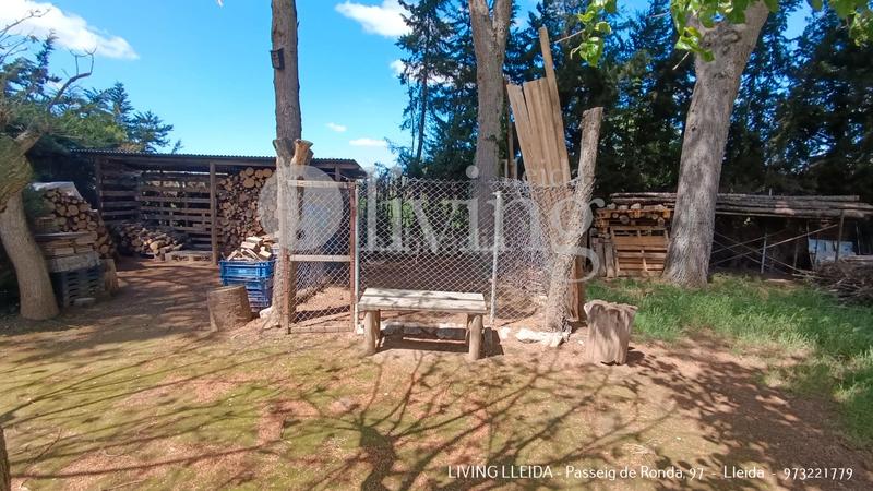 Foto 7d3d5897-442a-4c75-aafc-dfbd056f964b. Chalet mit kamin heizung parking pool in Torres de Segre