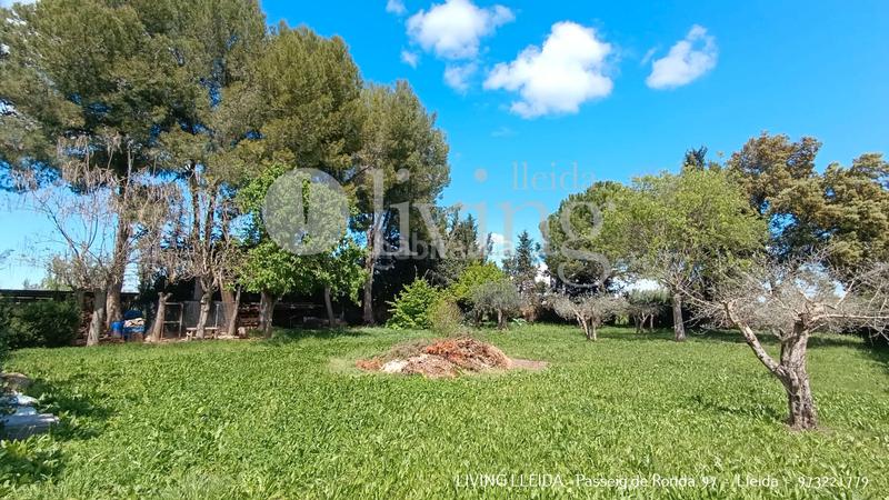 Foto a4ce8841-72c0-4fbe-a943-c7e76f6547e1. Chalet mit kamin heizung parking pool in Torres de Segre