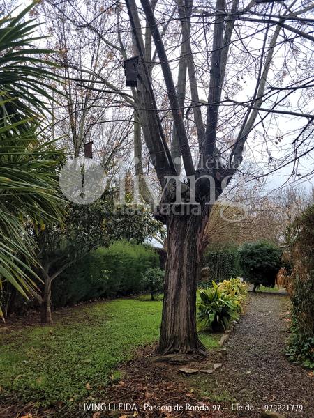 Foto c3c6191d-5a2b-4650-b004-914b0f188fe6. Chalet mit kamin heizung parking pool in Torres de Segre