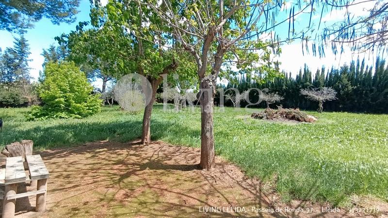 Foto c8d7c809-fee2-4e8f-866f-cba00c5f96c8. Chalet mit kamin heizung parking pool in Torres de Segre