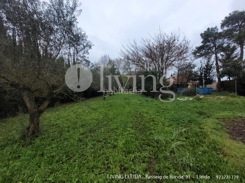 Foto e9cfa04b-553b-470a-863f-a2b28487689f. Chalet mit kamin heizung parking pool in Torres de Segre