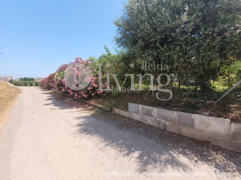 Foto bab24e5c-839a-4906-aa63-b2a657392bc1. Chalet with fireplace heating parking in Partides Rurals Lleida