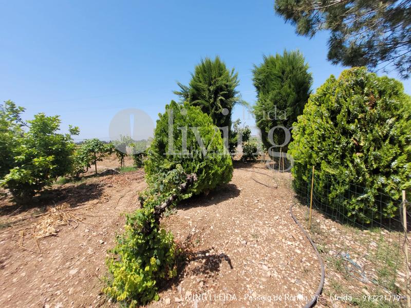 Foto de35ef66-d7d3-4844-8b49-aab6dbece9c4. Chalet with fireplace heating parking in Partides Rurals Lleida