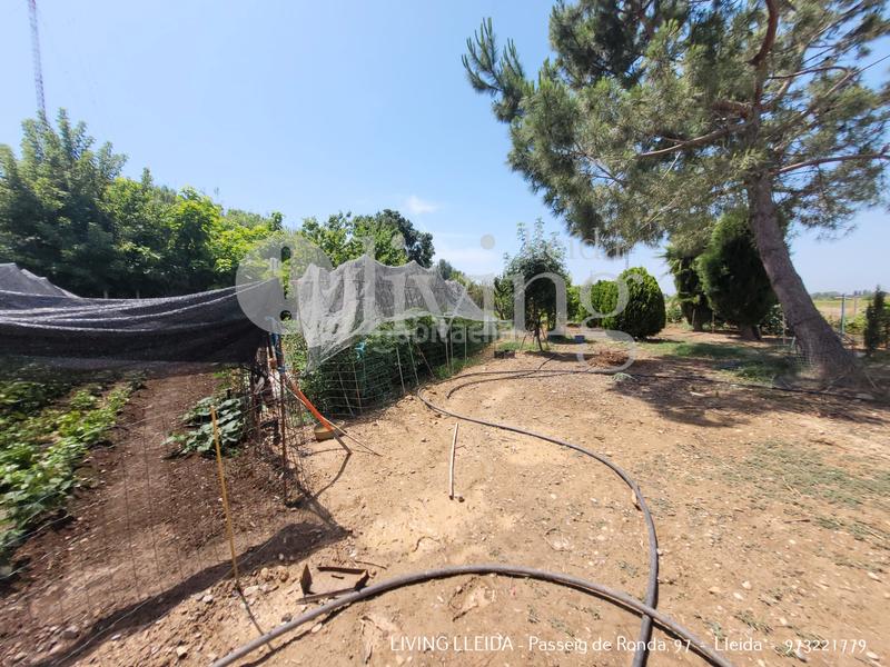 Foto 0cbeeffb-50ef-4f45-b594-37be4741e873. Chalet avec cheminée chauffage parking dans Partides Rurals Lleida