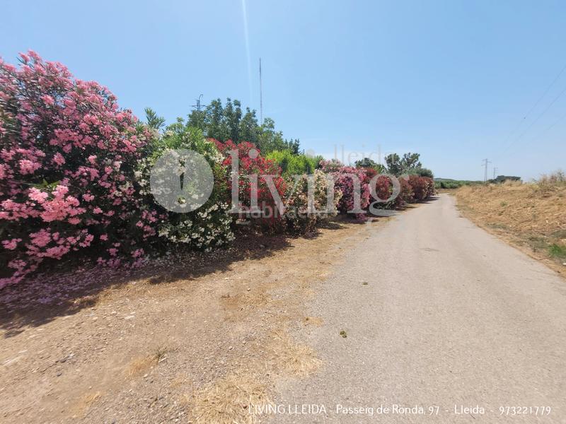 Foto 79466015-dfd3-4977-9bc1-99e02e384396. Chalet con camino riscaldamento parcheggio in Partides Rurals Lleida