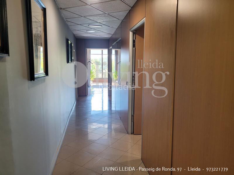 Foto 987ce464-3df8-4881-9826-602d2571dc70. Oficina en Centre Històric Lleida