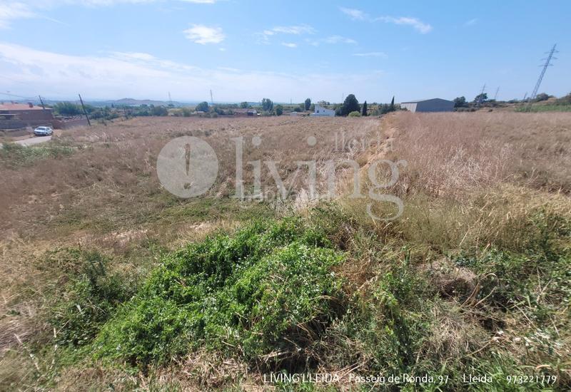 Foto 09577318-33e4-4064-8322-03b02835d6e3. Fondo rustico in Alcoletge