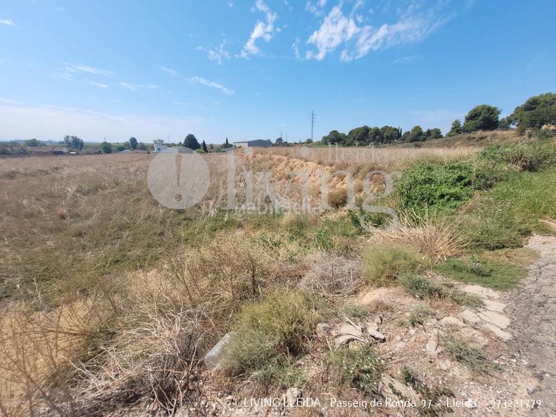 Foto 11f2b11d-70f7-4dab-8dc9-2c7ed37065d7. Fondo rustico in Alcoletge