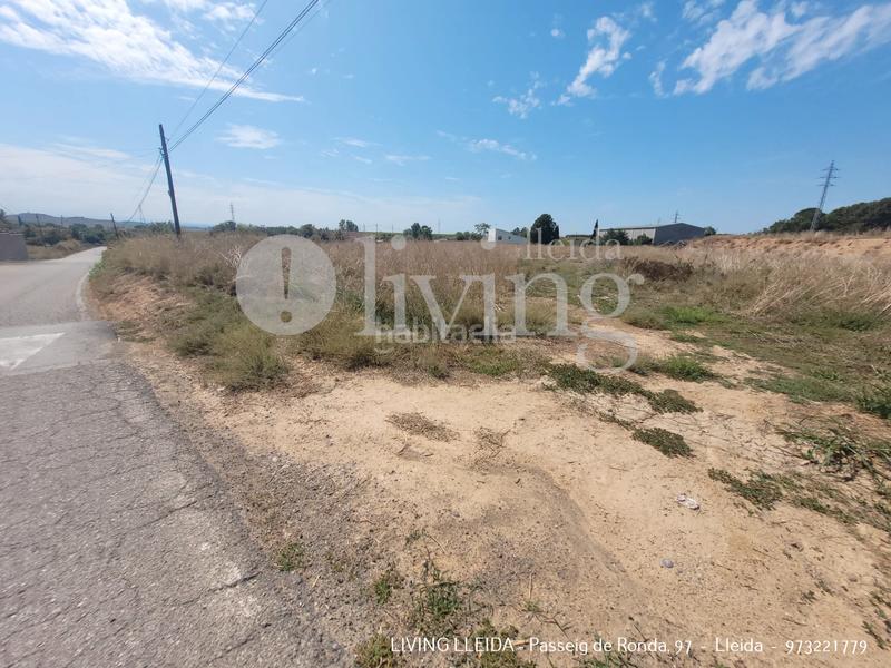 Foto 143b5279-b740-479c-8f2e-3388a055540e. Fondo rustico in Alcoletge