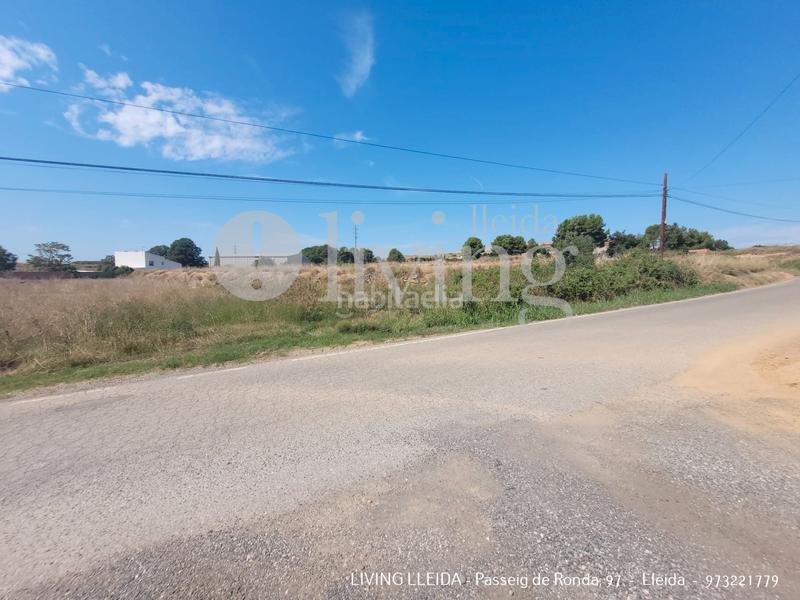 Foto 64967fcc-bbef-4480-a51e-911c3339a5ef. Fondo rustico in Alcoletge