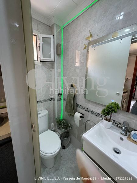 Foto 7c74d673-cf8e-4255-890c-2d857a1d1b41. Pis a Cappont Lleida