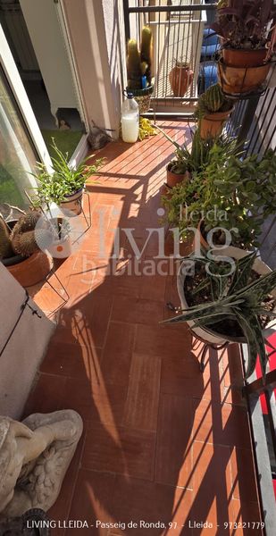 Foto af8c7f2d-a9be-455d-b5f7-ad9bb4a6b042. Pis amb calefacció a Príncep de Viana-Clot-Xalets Humbert Torres Lleida