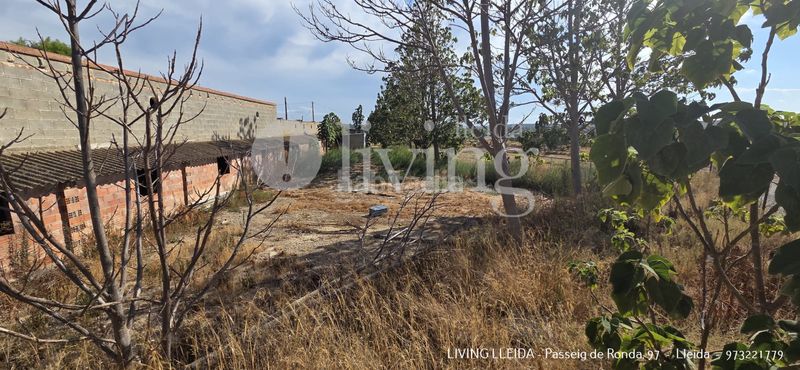 Foto 76d01807-c360-4c60-977b-e91a961fb357. Finca rústica a Soses