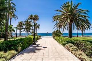Terreny residencial en San Pedro de Alcntara Pueblo. Parcela en venta en san pedro