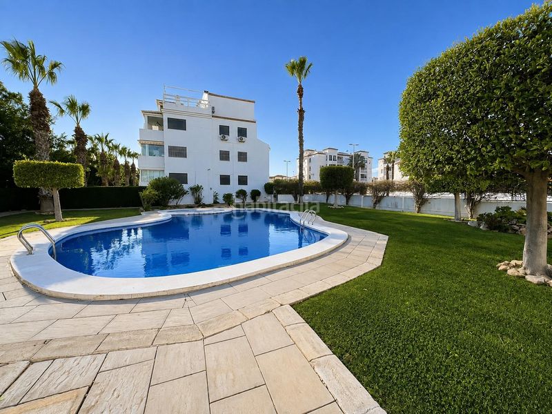 Foto e3adbdd9-d6a0-442b-8350-dda42c628bea. Apartament a Los Almendros Orihuela