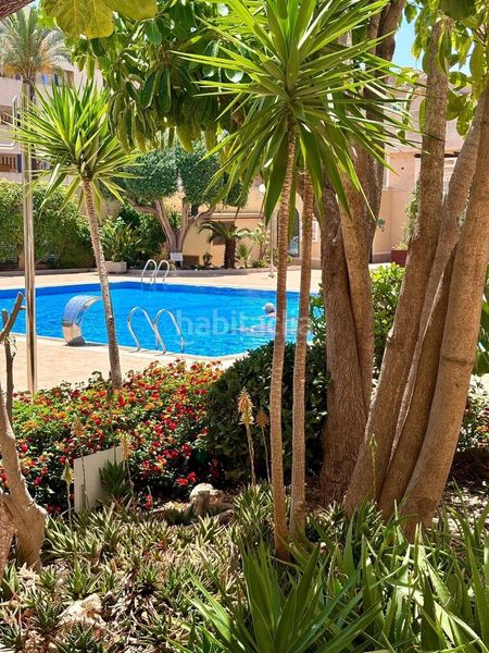 Foto 753f7b14-ee00-428e-9aad-8c5f76d8d95f. Apartament amb piscina a Aguamarina Orihuela