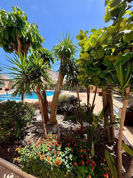 Foto 81b874f1-7697-460c-b17a-b74eb4d8503d. Apartament amb piscina a Aguamarina Orihuela