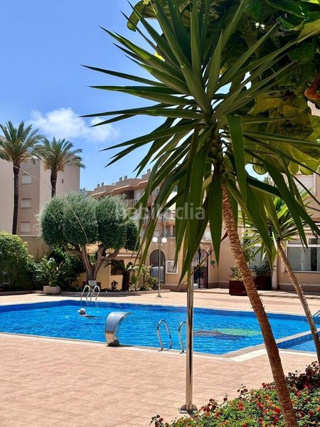 Foto f9c57479-1bac-4d81-b1db-6ee97df99fa5. Apartament amb piscina a Aguamarina Orihuela