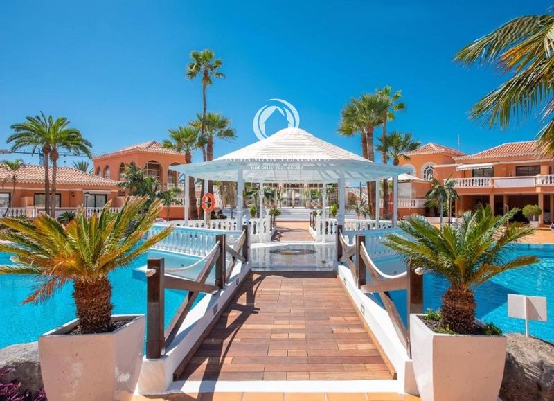 Foto fa74e518-d97f-4529-a149-46e32a805226. Apartament amb piscina a Playa de las Américas Arona