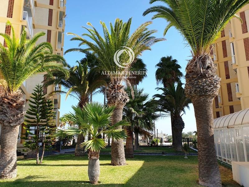 Foto 7b52e42a-a63b-4578-9070-ac714363b8cb. Piccolo appartamento con piscina in Playa de las Américas Arona