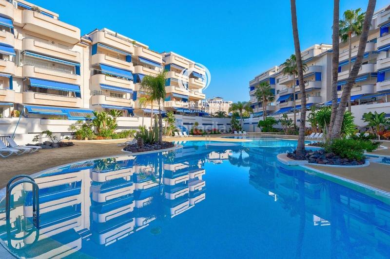 Foto abab5e10-0207-4f42-b2a0-6d03562cbe9d. Piccolo appartamento con parcheggio piscina in Los Cristianos Arona