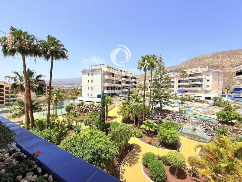 Foto e25fca79-ddbf-4d19-91a7-ec0829a37020. Piccolo appartamento con parcheggio piscina in Los Cristianos Arona