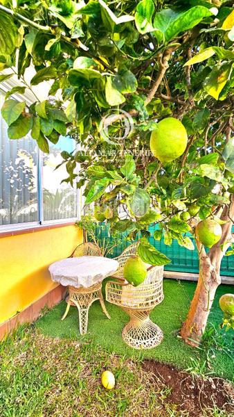 Foto d3299f2b-518e-4885-a963-839b277a4ad9. Dachwohnung mit parking pool in Puerto de Santiago Santiago del Teide