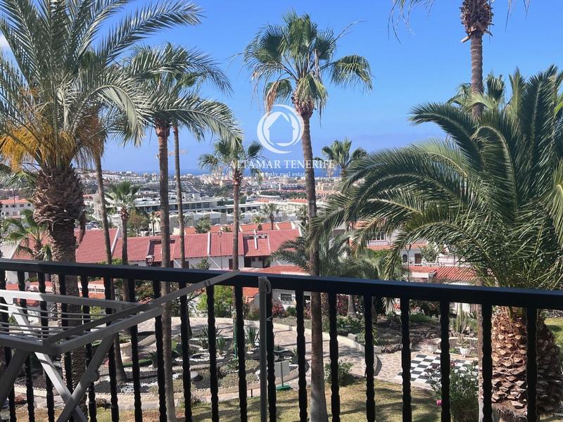 Foto a7227565-9e2c-4817-9cc4-97c1e78a1cb3. Apartamento estudio en miraverde en Playa Fañabé Alto Adeje