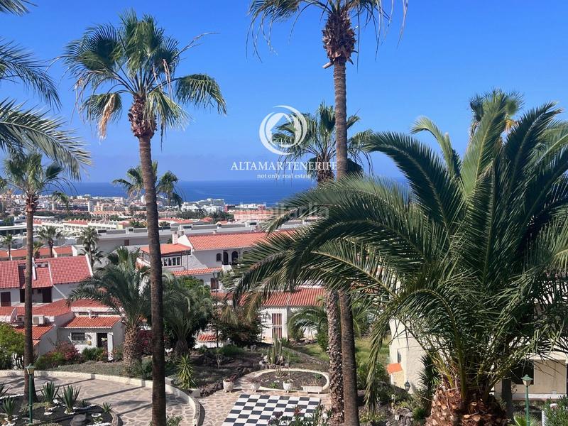 Foto e3027adc-6d12-4e56-af96-cbf89d2cfbc5. Apartamento estudio en miraverde en Playa Fañabé Alto Adeje