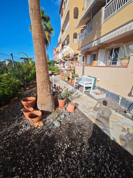 Foto 2ce11d76-d8dc-4d6c-aef2-8637fbc3f2f3. Appartement avec parking piscine dans Callao Salvaje - Playa Paraíso Adeje