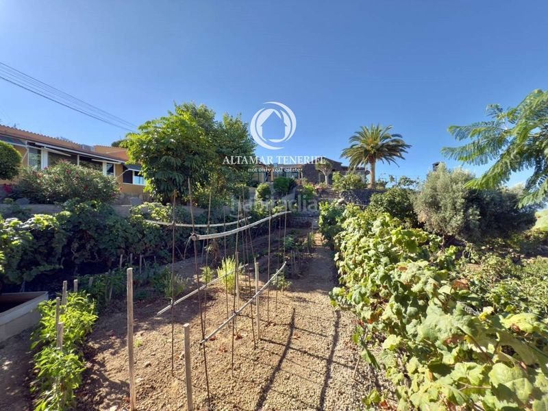 Foto 0ea07966-25a9-4a56-bcf2-827f5455020e. Casa amb aparcament a Guía de Isora interior Guía de Isora