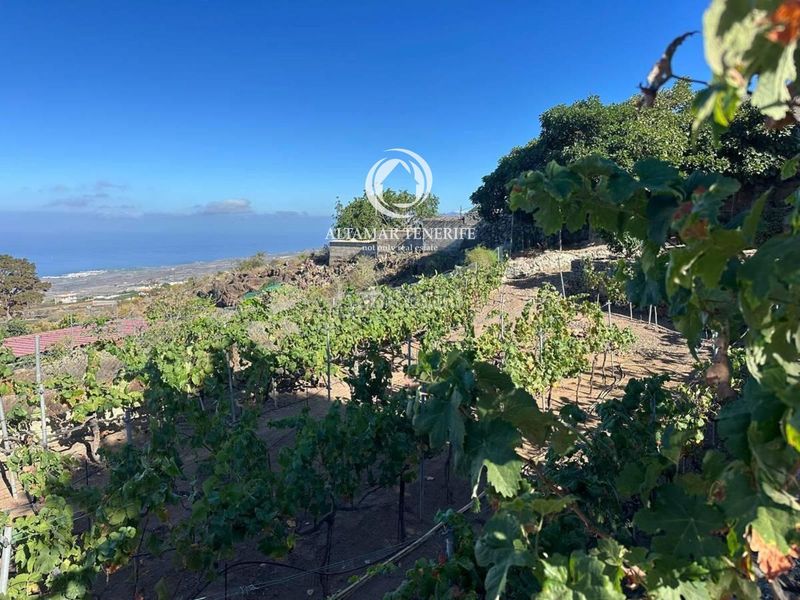 Foto 638c3f07-4839-4723-bd48-f2816a8302e8. Casa amb aparcament a Guía de Isora interior Guía de Isora