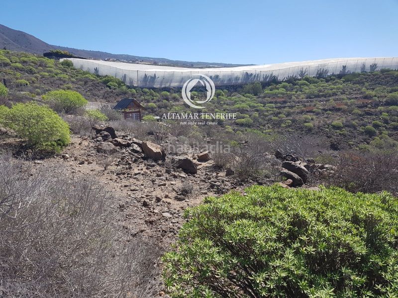 Foto 04a1abf8-46ba-4c1b-a922-2672bc64e678. Finca rústica a Guía de Isora interior Guía de Isora