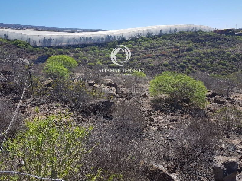 Foto c3d6972d-e0bb-4bc9-90e3-1024cd812d89. Finca rústica a Guía de Isora interior Guía de Isora