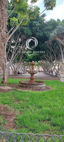 Foto 70f3d6a2-de0d-4903-b366-118c12ee3677. Apartamento vivienda en planta baja con entrada independiente en Valle San Lorenzo en Arona