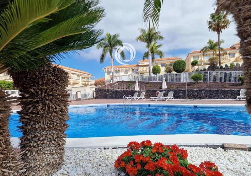 Foto f95467f5-b258-49c8-a90d-c23d16f344d3. Apartament amb piscina a Chayofa Arona