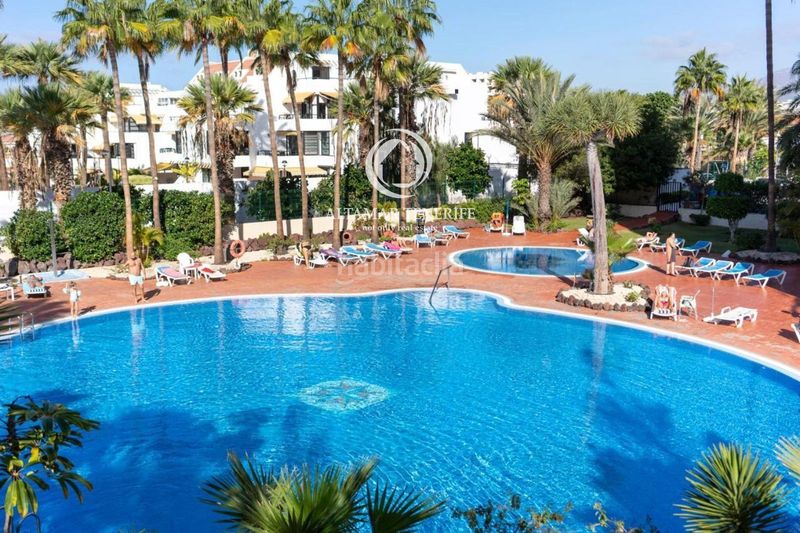 Foto 6219f09f-e913-415e-83d1-e82a9a68273d. Apartament amb piscina a Playa de las Américas Arona