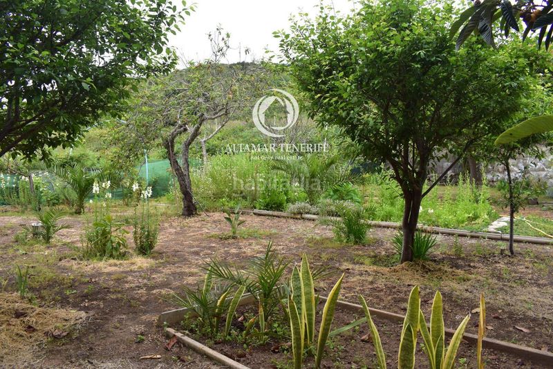 Foto 40972170-5d19-4fdc-af52-47748398c75a. Casa amb aparcament a Icod de los Vinos pueblo Icod de los Vinos