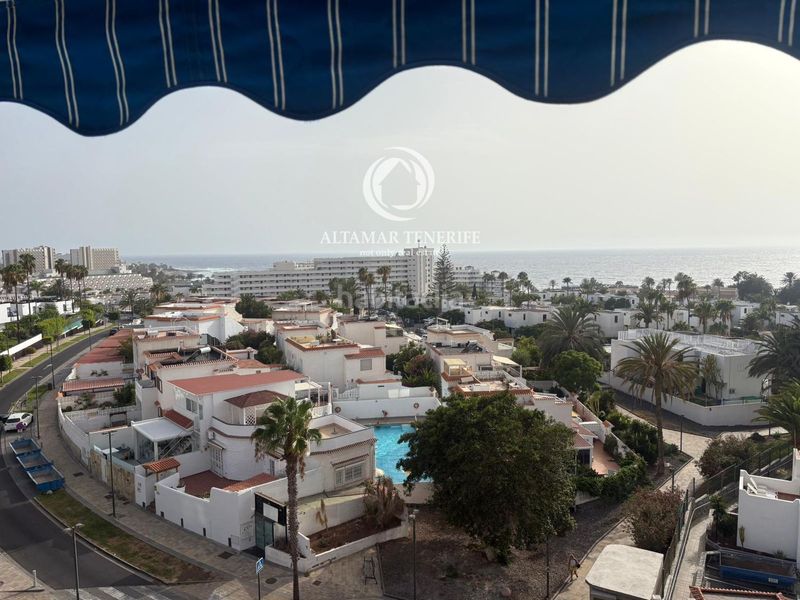 Foto 1c51e0af-2eda-4f5e-b419-fd0e1485ddb9. Apartament amb piscina a Playa de las Américas Adeje